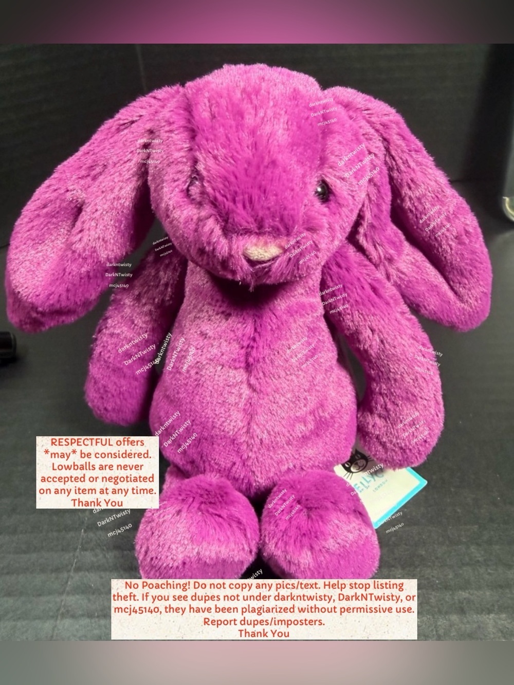 BNWT JELLYCAT LITTLE BASHFUL BUNNY ALLIUM